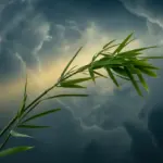 Illustration showing the core characteristics of a resilient person, symbolized by a strong bamboo stalk bending in a storm without breaking.