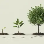 An illustration showing the 3 3 3 rule for habits, with a plant growing from a sprout (3 days), to a sapling (3 weeks), to a tree (3 months).